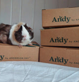 Andy by Anderson Hay Hay Natural Timothy Hay 2nd Cutting Andy-Pak® Feeder Boxes