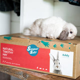 Andy by Anderson Hay Hay Super Soft Natural Timothy Hay
