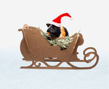 Andy by Anderson Hay Play Cardboard Holiday Sleigh for Hay
