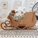 Andy by Anderson Hay Play Cardboard Holiday Sleigh for Hay