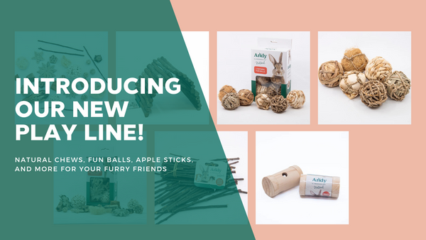 Rabbit and Small Pet Blog | Andy by Anderson Hay