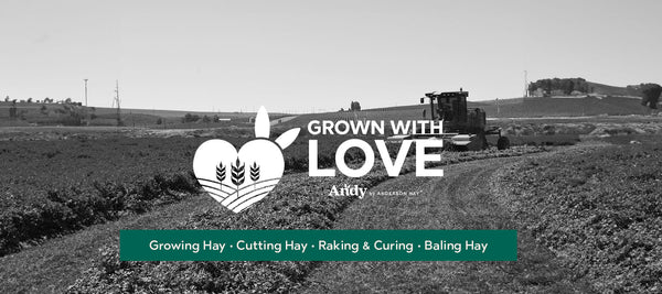 Grown with Love: How We Time Cutting Hay to Capture the Optimal Nutritional Value