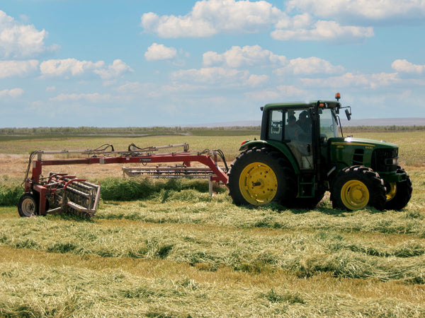 How We Rake and Cure Our Hay to Prevent Spoilage and Preserve Quality