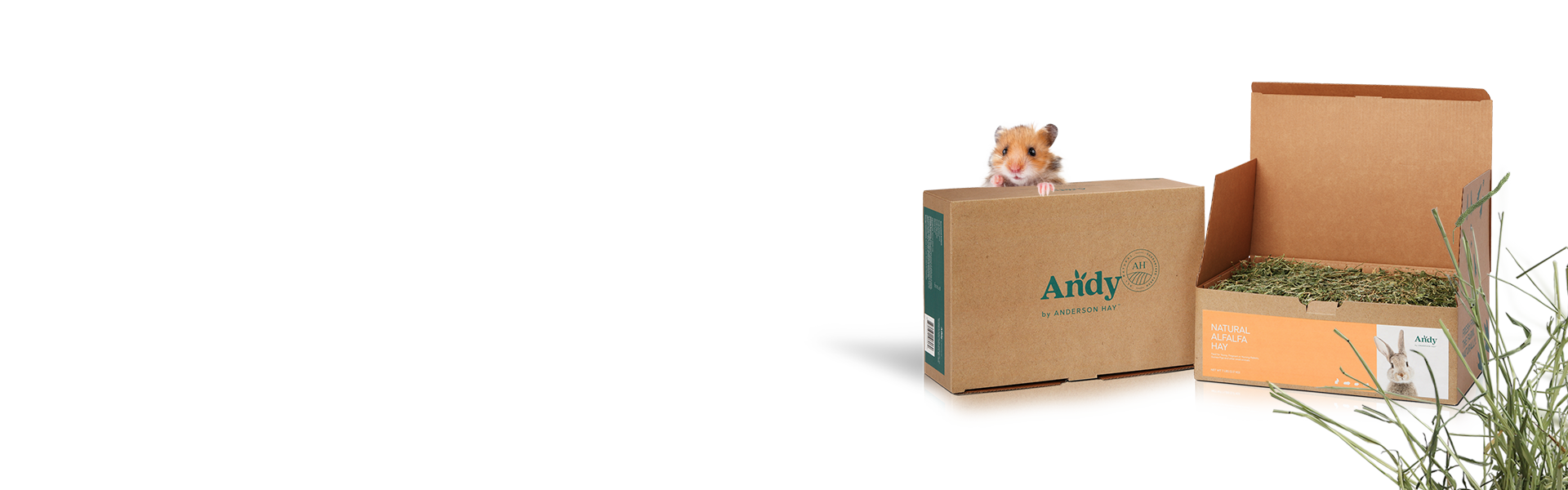 Alfalfa Hay Collection | Andy by Anderson Hay