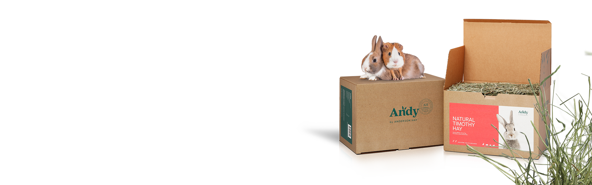 Natural Timothy Hay for Rabbits | Andy by Anderson Hay