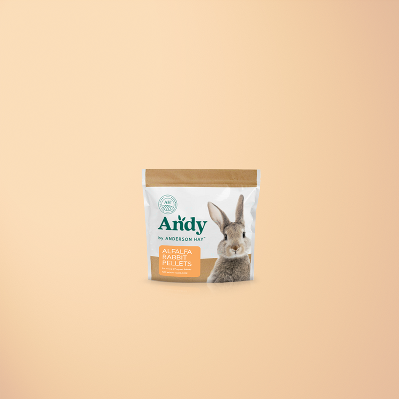 Spring Sample Bundle #1