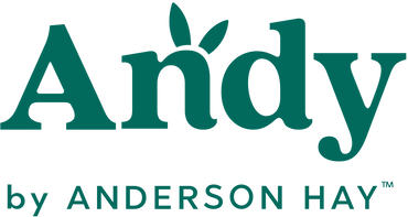 Andy Logo