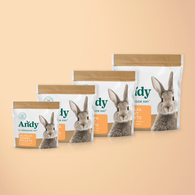 Alfalfa Hay For Rabbits