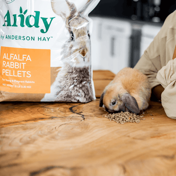 Alfalfa based top rabbit pellets