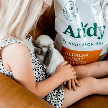 Alfalfa pellets for bunnies sale