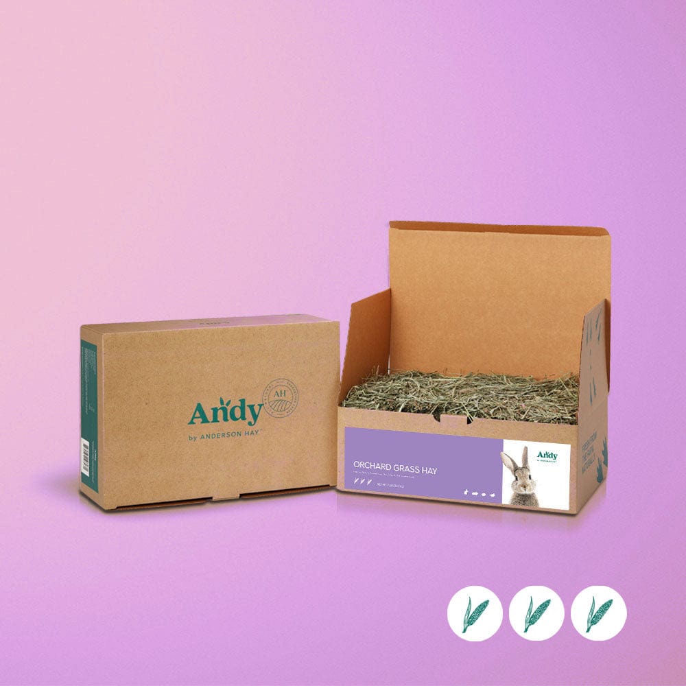 Natural Orchard Grass Hay – Andy by Anderson Hay