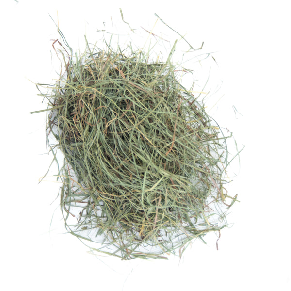 Andy by Anderson Hay Hay Natural Orchard Grass Hay - Sample