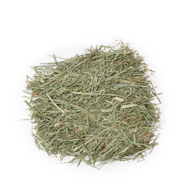 Natural and Organic Hay | Andy by Anderson Hay