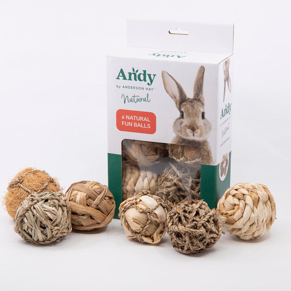 Andy by Anderson Hay Play Andy Natural Fun Balls - Pack of 6