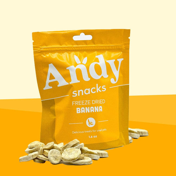 Andy by Anderson Hay Treats Andy Snacks - Freeze Dried Bananas
