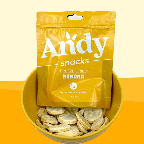 Andy by Anderson Hay Treats Andy Snacks - Freeze Dried Bananas