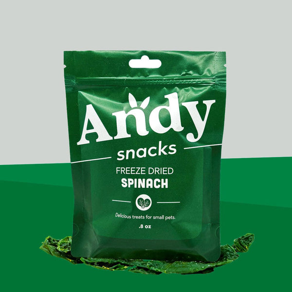 Andy by Anderson Hay Treats Andy Snacks - Freeze Dried  Spinach