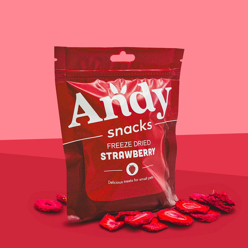 Andy by Anderson Hay Treats Andy Snacks - Freeze Dried Strawberries