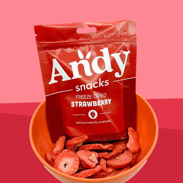 Andy by Anderson Hay Treats Andy Snacks - Freeze Dried Strawberries