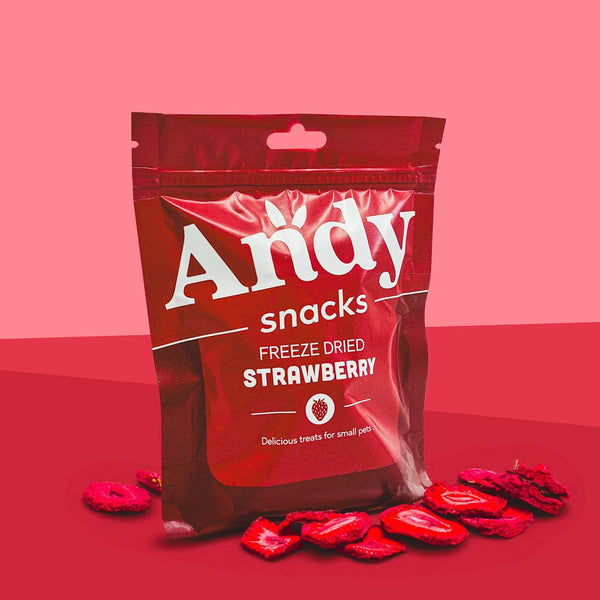 Andy by Anderson Hay Treats The Freeze Dried 4 Fun Pack