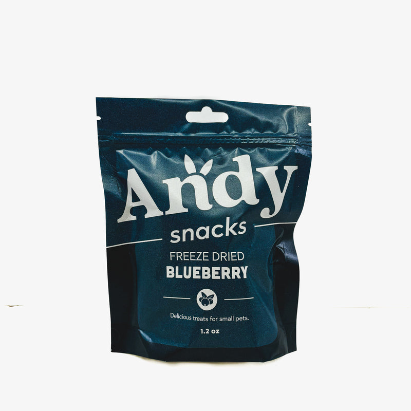 Andy Snacks - Freeze Dried Blueberries