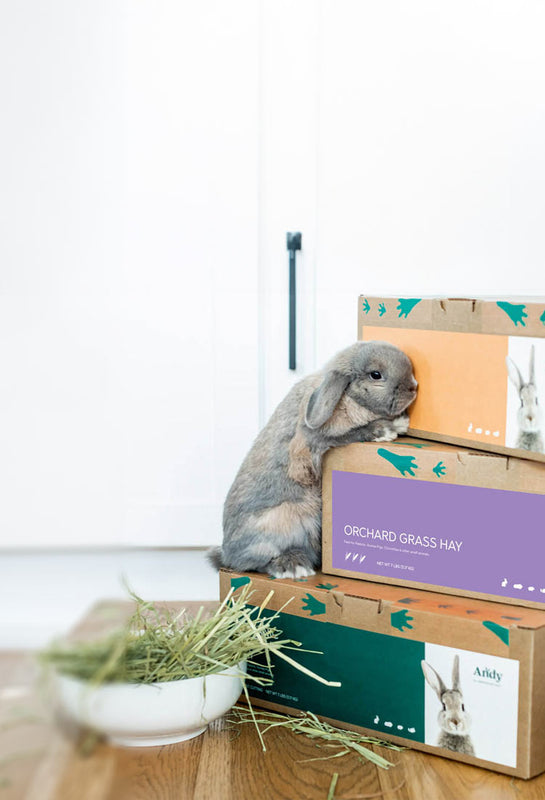 Premium Hay & Pet Supplies for Small Pets | Andy by Anderson Hay
